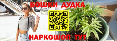 мдпв Боровичи