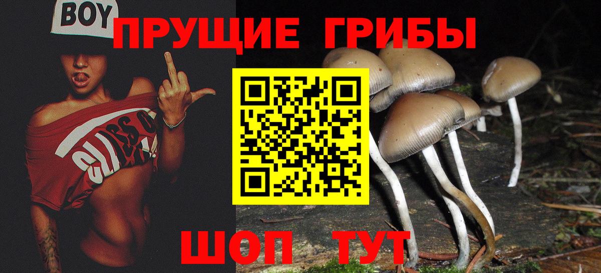 Галлюциногенные грибы GOLDEN TEACHER Грязи