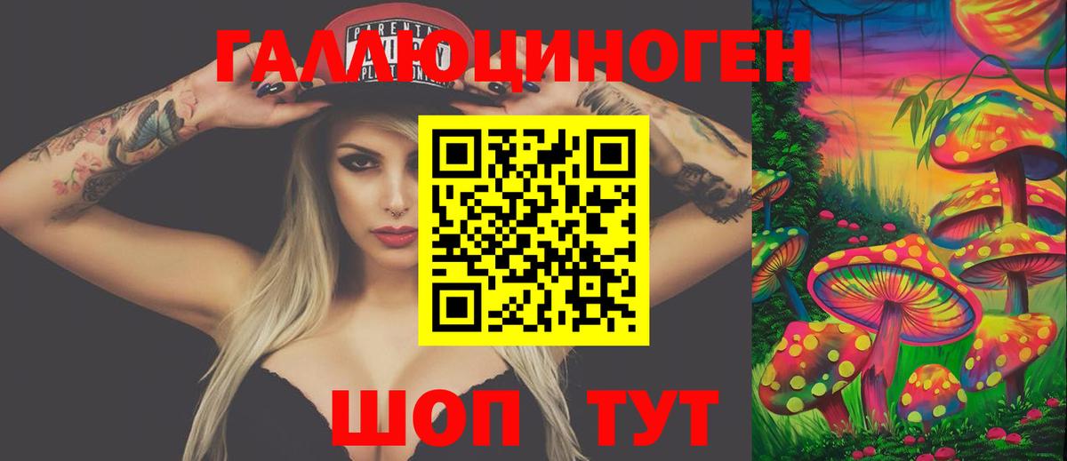 Грязи  Галлюциногенные грибы GOLDEN TEACHER  Галлюциногенные грибы Cubensis  Вход с VPN 